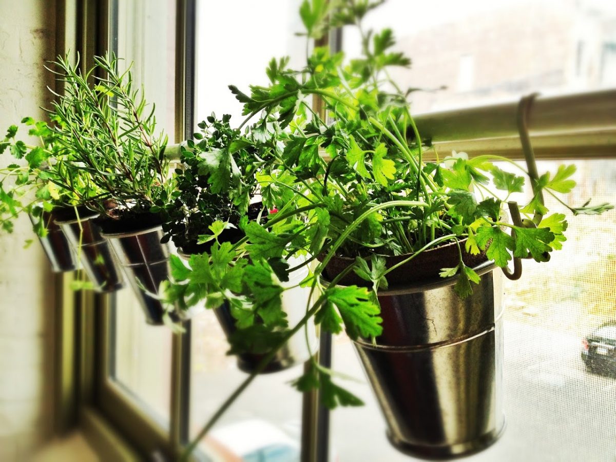 create a mini garden for fresh herbs with a shower rod and cutlery stand with this one of the easiest ikea kitchen hacks
