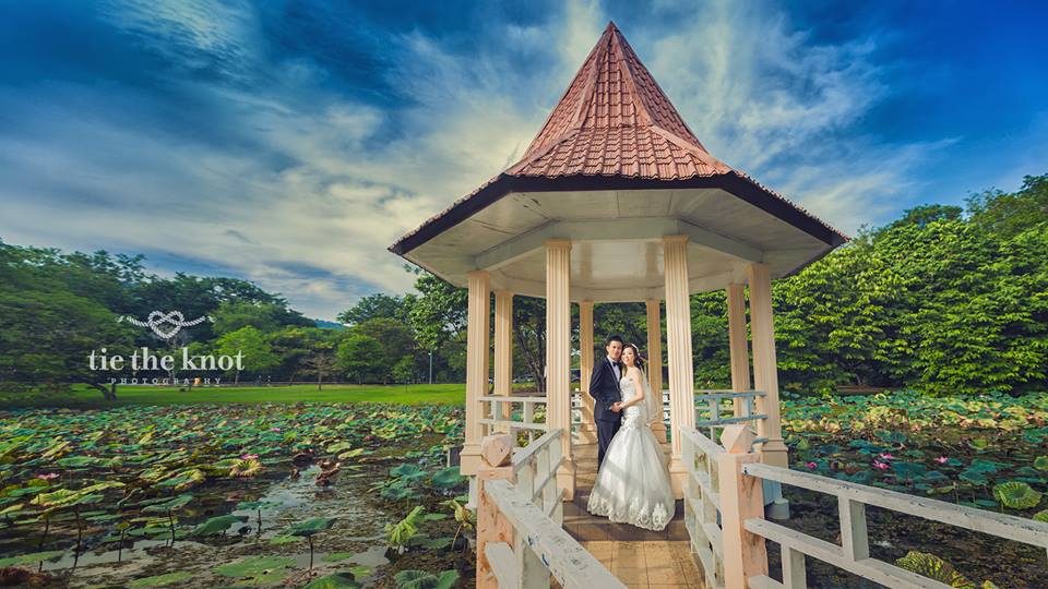 pre-wedding photos, taiping lake gardens