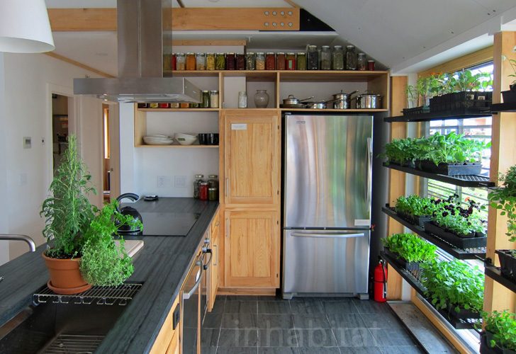 How to Grow Herbs in a Small Kitchen 