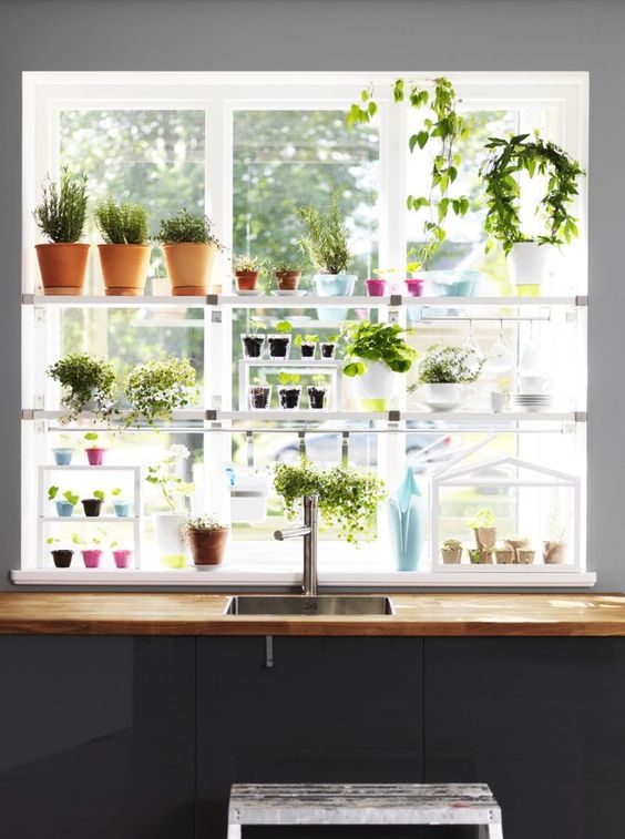 How to Grow Herbs in a Small Kitchen 