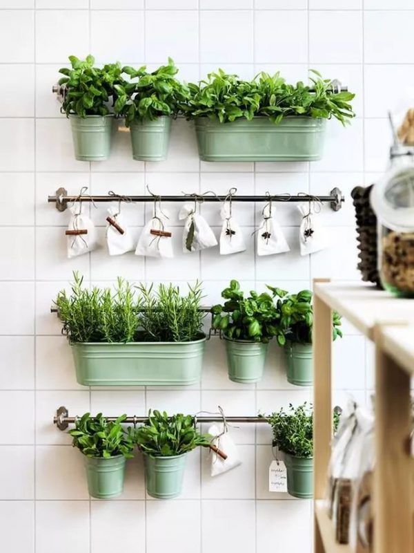 How to Grow Herbs in a Small Kitchen