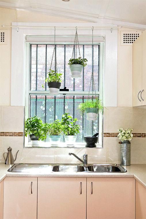 How to Grow Herbs in a Small Kitchen 
