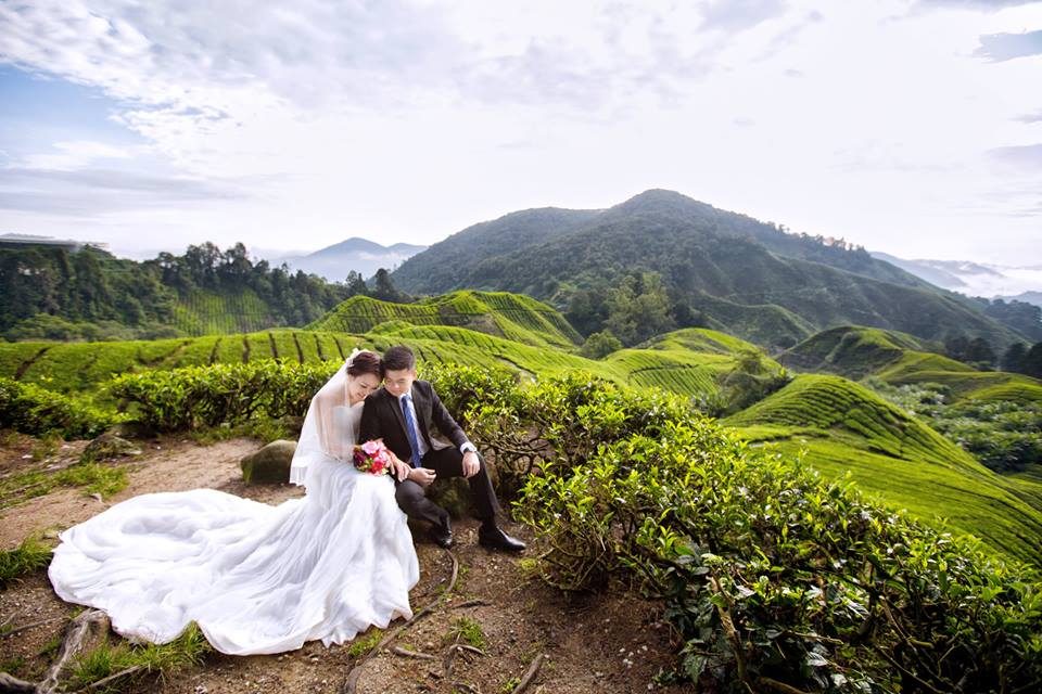 pre-wedding locations in malaysia, cameron highlands