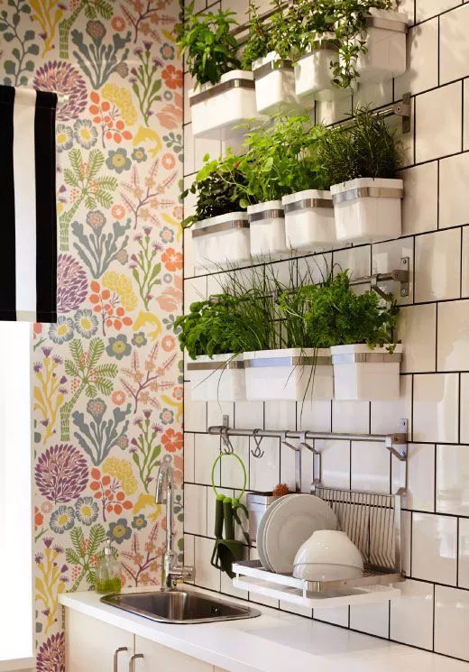 How to Grow Herbs in a Small Kitchen
