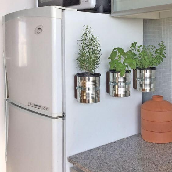 How to Grow Herbs in a Small Kitchen 