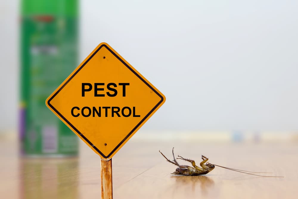 pest control services in malaysia