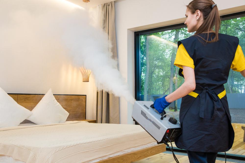 Professional disinfection using thermal fogger