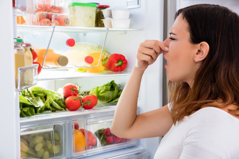 Learn how to store your food in your fridge properly to avoid perishables from spoiling too quickly