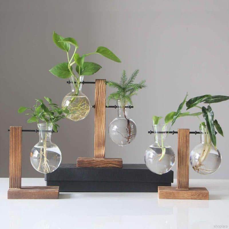 Glass Vase with Wooden Frame for Desktop