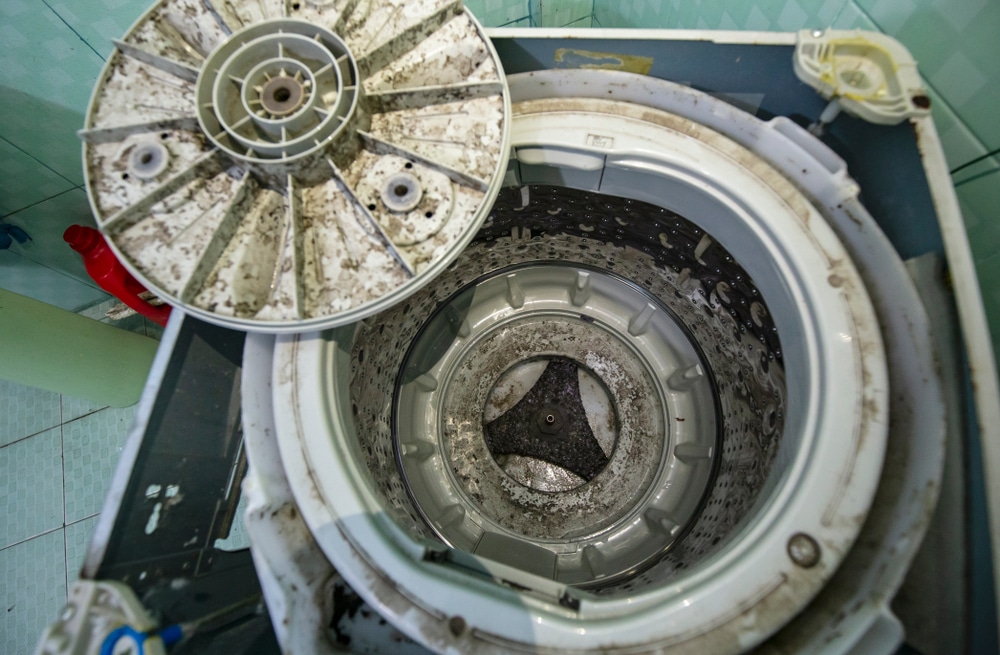 Why you need to regularly deep clean your washing machine