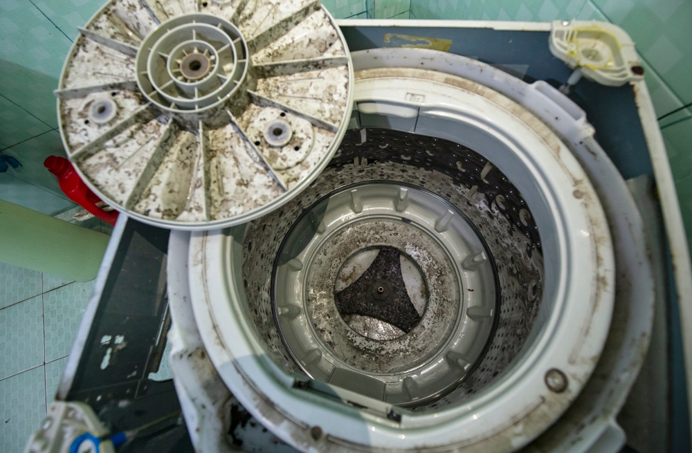 Deep clean washing on sale machine