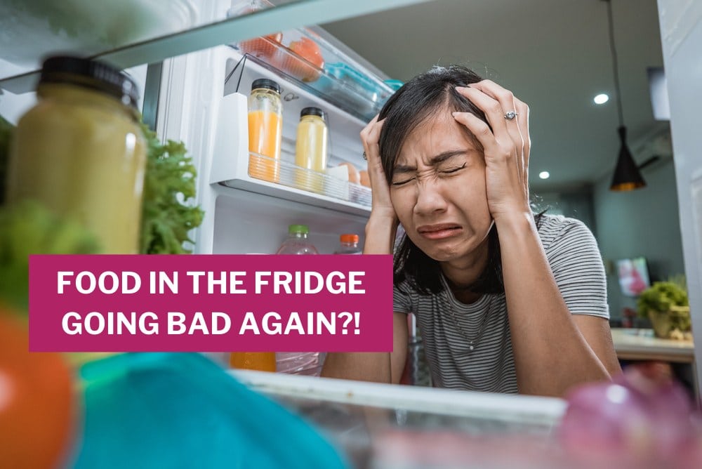 Homeowner’s 101 To Fridge Repair in Malaysia